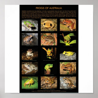 Grodor av Australien Poster