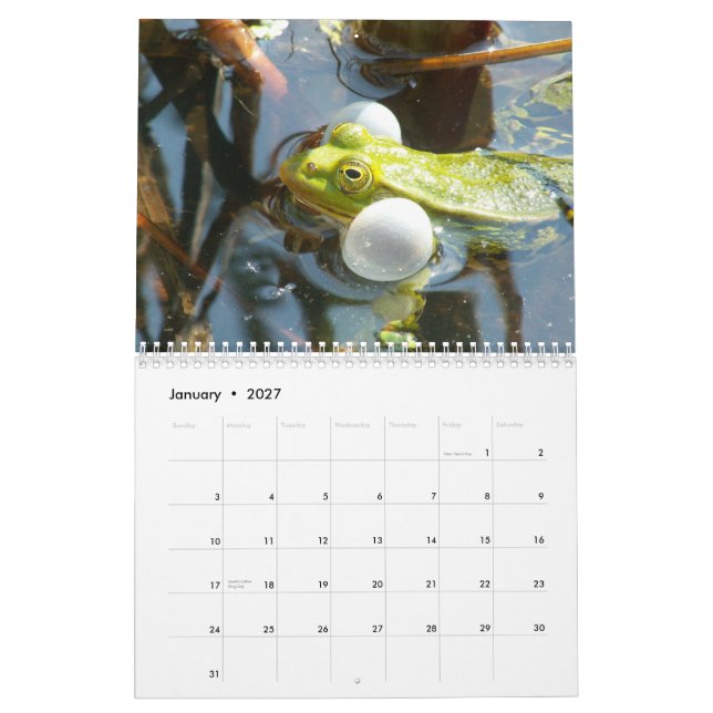 Grodor av världskalendern kalender (Jan 2027)