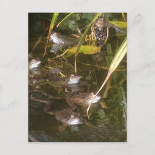 Grodor, groddar och groddar vykort