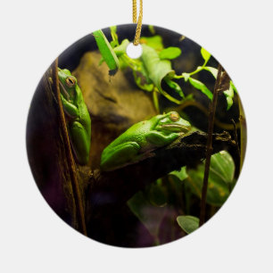 Grodor i ett träd julgransprydnad keramik