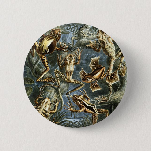 Grodor Knapp (Framsida)