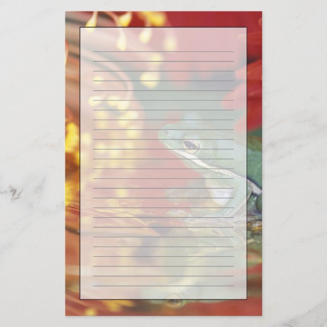 Grodor och reflexioner bland blommor. Kredit som: Brevpapper (Framsida)