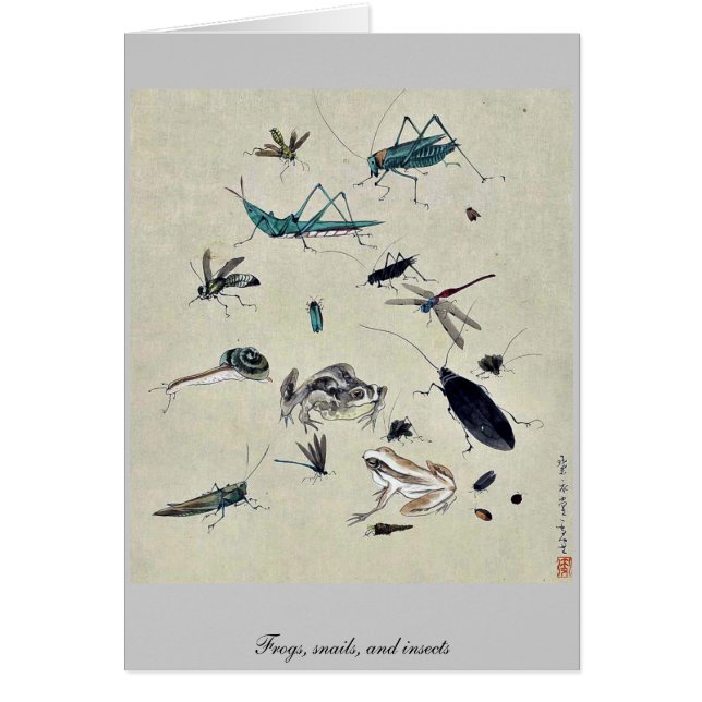 Grodor, sniglar och insekter OBS kort (Framsidan)