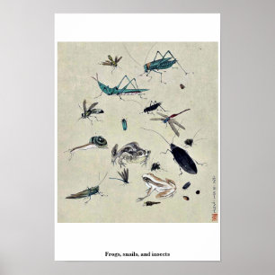 Grodor, sniglar och insekter poster