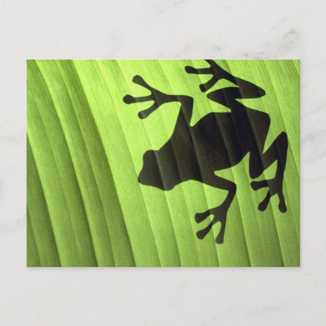 Grodor Vykort (Framsida)