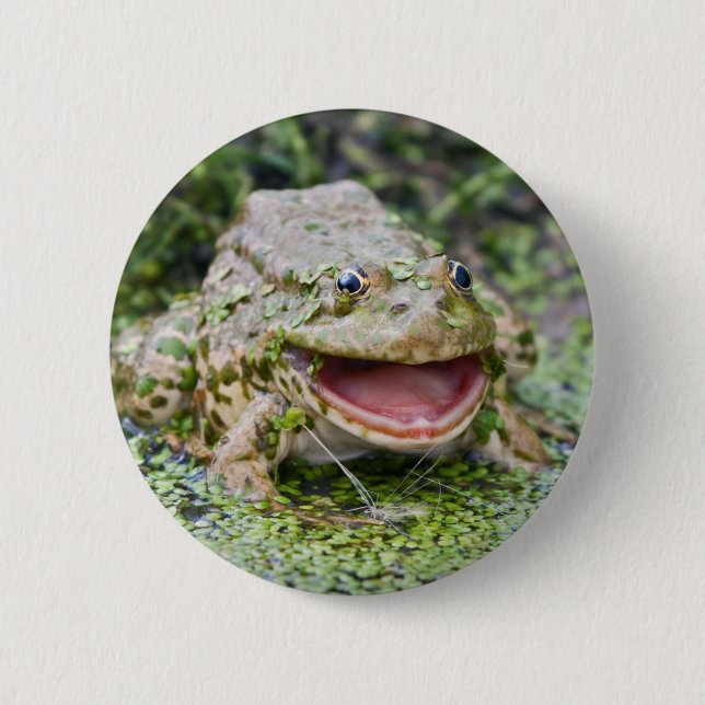 Grodprins Badge Knapp (Framsida)