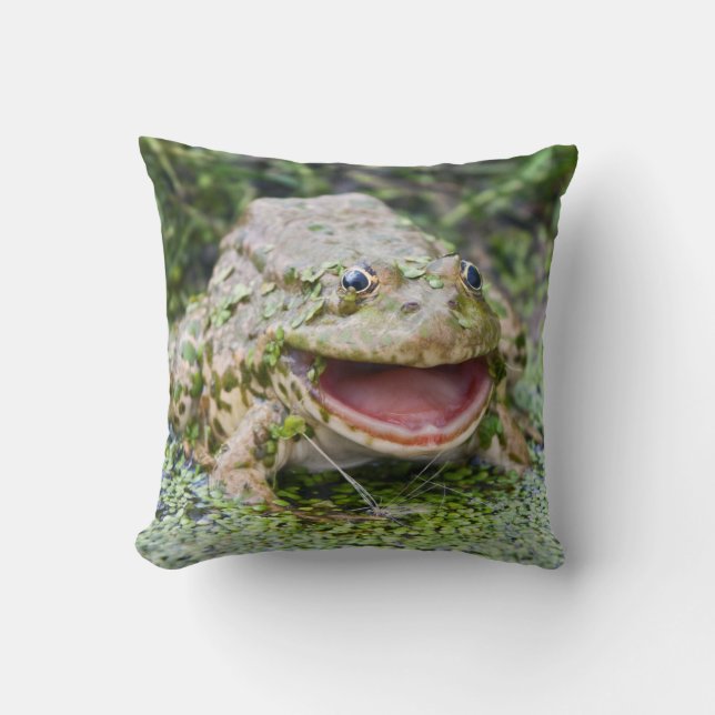 Grodprins Kudde (Framsida)
