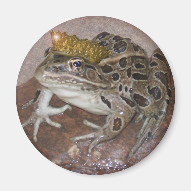 Grodprinsen Magnet (Framsidan)