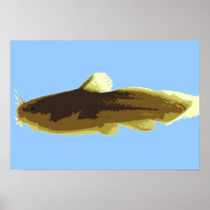 Grodrompad dvärgmal poster