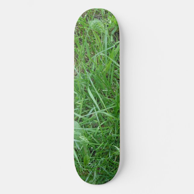 Grödskateboard Mini Skateboard Bräda 18,7 Cm (Framsida)