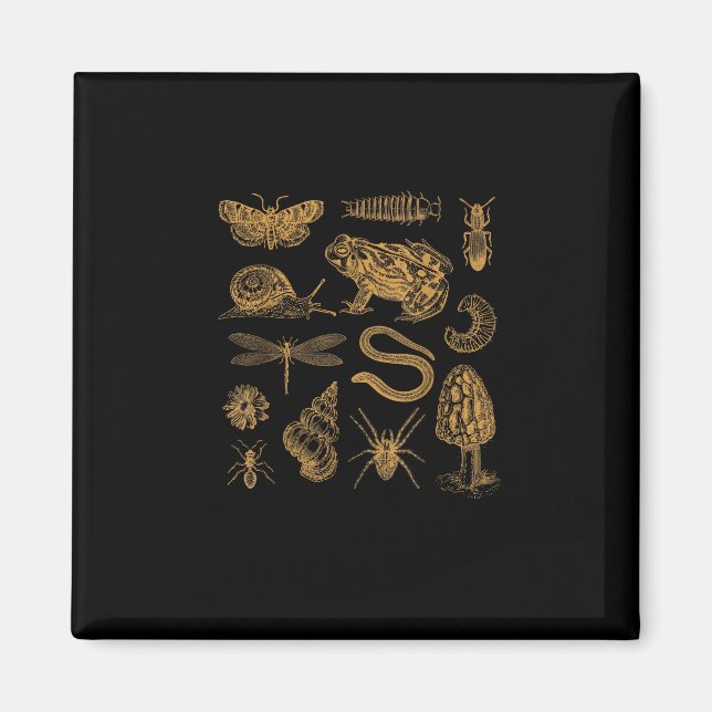 Grodsvampmal Retroälskare Goblincore Magnet (Framsidan)