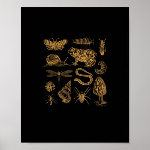 Grodsvampmal Retroälskare Goblincore Poster