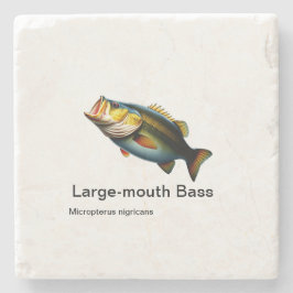 grodyngel på marmor stenunderlägg