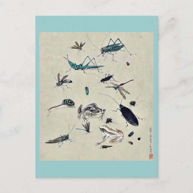 Grodyor, sniglar och insekter vykort (Framsida)