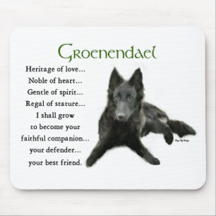 Groenendael belgiska Sheepdog-gåvor Musmatta