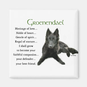 Groenendael belgiska Sheepdoggåvor Magnet