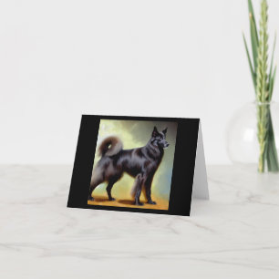 Groenendael Belgium Shepherd Hund Kort