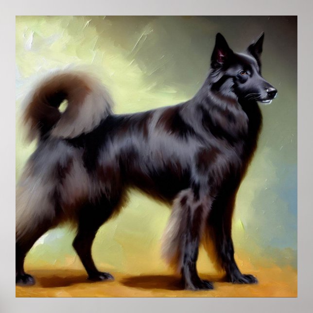 Groenendael Belgium Shepherd Hund Poster (Framsidan)