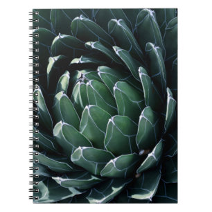 Grön Agave Anteckningsbok