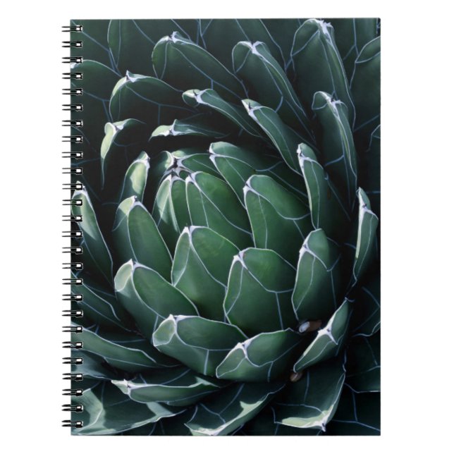 Grön Agave Anteckningsbok (Framsidan)