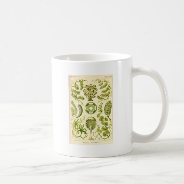 Grön algmugg kaffemugg (Höger)
