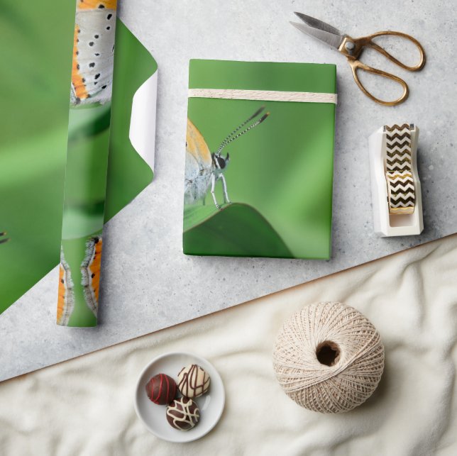 Grön bakgrund & gul, vit fjäril & spindel presentpapper (Hantverk)