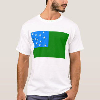 Grön bergpojkeflagga tee shirt