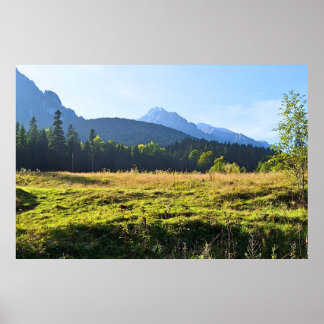 Grön bergsäng – Vild natur Rumänien Poster