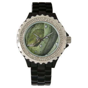 Grön boa för trädormsmaragd i Bolivia Armbandsur