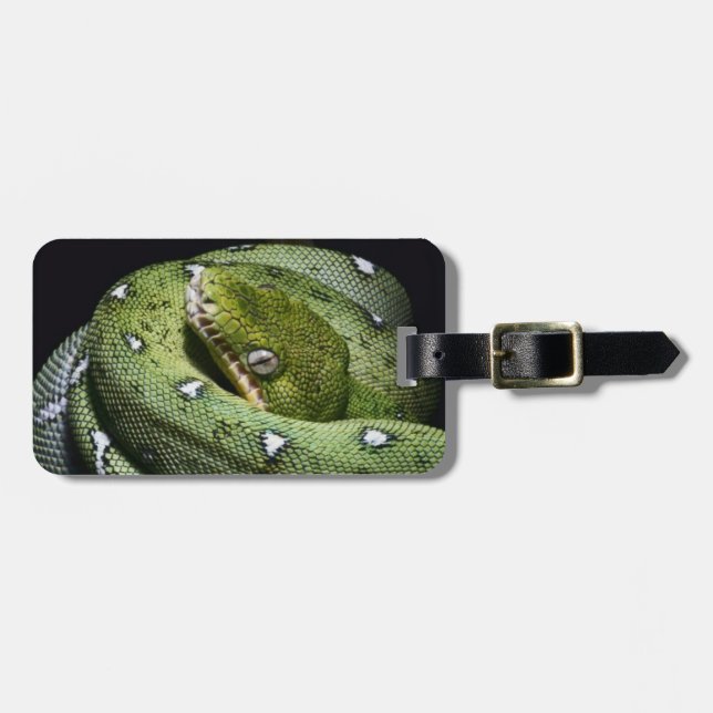 Grön boa för trädormsmaragd i Bolivia Bagagebricka (Horisontell Framsida)
