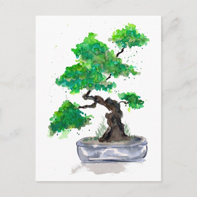 Grön Bonsai Akvarell Postkort Vykort (Framsida)