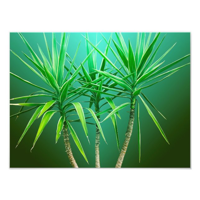 Grön botanisk palmträdskudde fototryck (Framsidan)