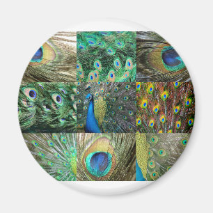 Grön collage för blåttpåfågelfoto magnet