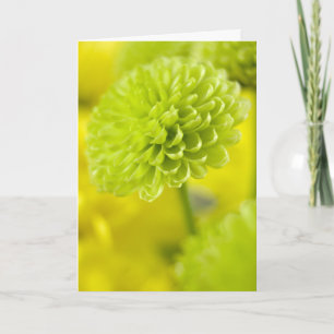 Grön Dahlia-blomma ... Påskkort Helgkort