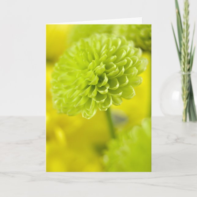 Grön Dahlia-blomma ... Påskkort Helgkort (Framsida)