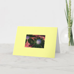 "Grön Echinacea #1 ", Kort