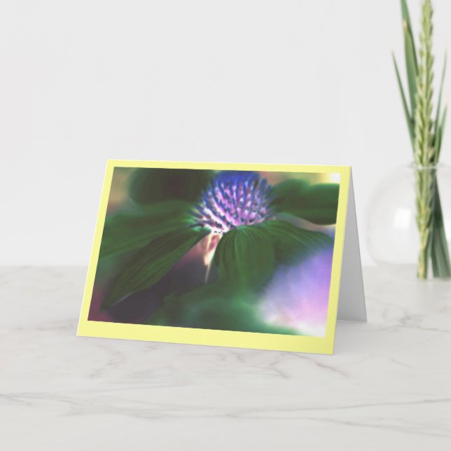 "Grön Echinacea ", Kort (Framsida)