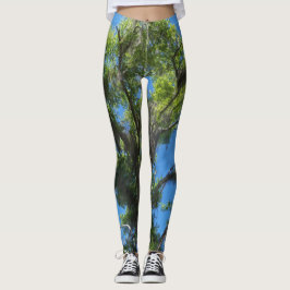 Grön ek & blå himmel på leggings