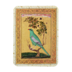 Grön fågel, Mughal (gouachen på papper) Magnet