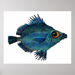 Grön fantasidiskus för blått poster