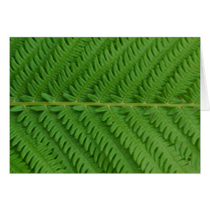 Grön Fern Hälsningskort