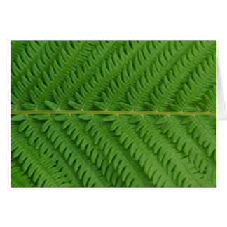 Grön Fern Hälsningskort