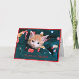 Grön filt katt jul orange kattunge  helgkort