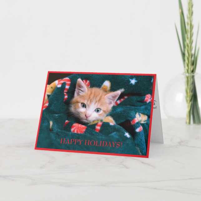 Grön filt katt jul orange kattunge  helgkort (Framsida)