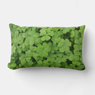 Grön frisk shamrock, lycklig St. Patricks klöver Lumbarkudde