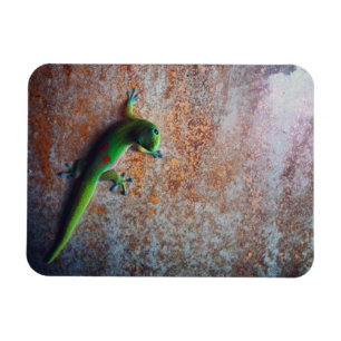 Grön GeckoFlexi magnet