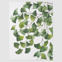 Grön Ginkgo Biloba -