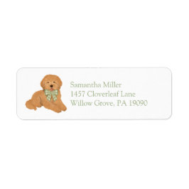 Grön Goldendoodle Valp Returadressetikett Returadress Etikett