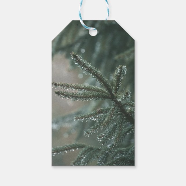 Grön gran nära, julestil presentetikett (Framsidan)