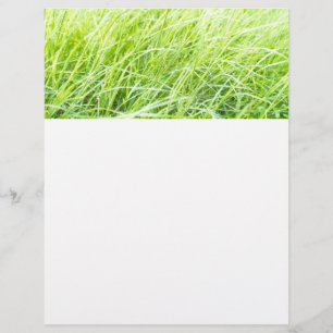 Grön gräs reklamblad